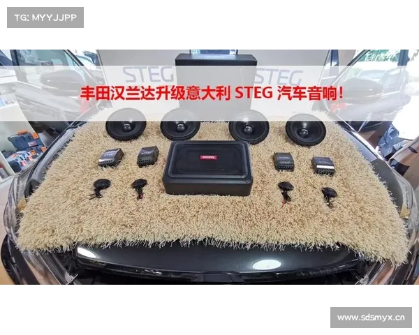 丰田汉兰达升级意大利STEG三分频声音饱满厚实 丰田汉兰达升级意大利STEG三分频声音饱满厚实